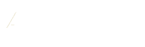 Audit & Review